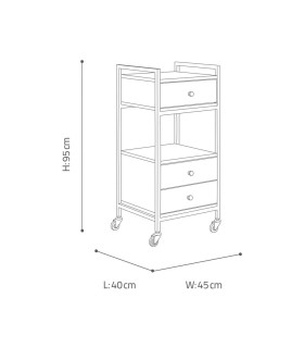 ترولی آرایشگاهی کد: PT209G