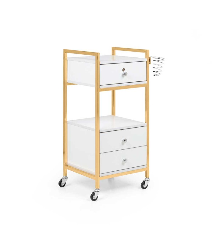 ترولی آرایشگاهی کد: PT209G