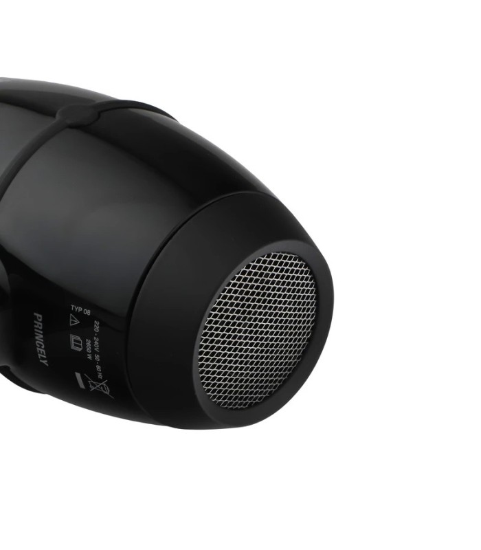 سشوار حرفه ای 2650 وات پرنسلی مدل: PR200AT