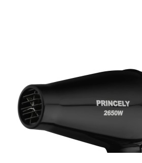 سشوار حرفه ای 2650 وات پرنسلی مدل: PR200AT