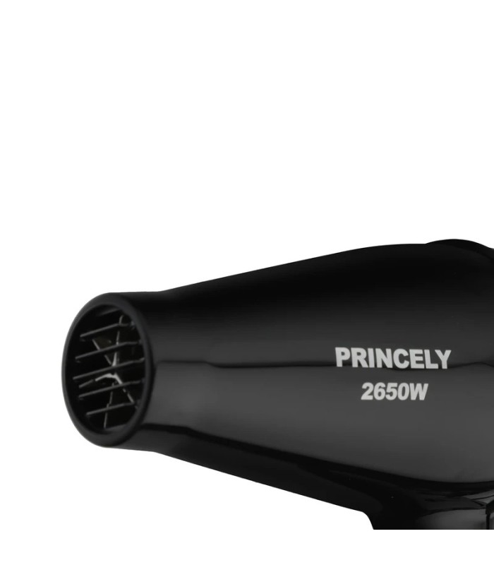 سشوار حرفه ای 2650 وات پرنسلی مدل: PR200AT