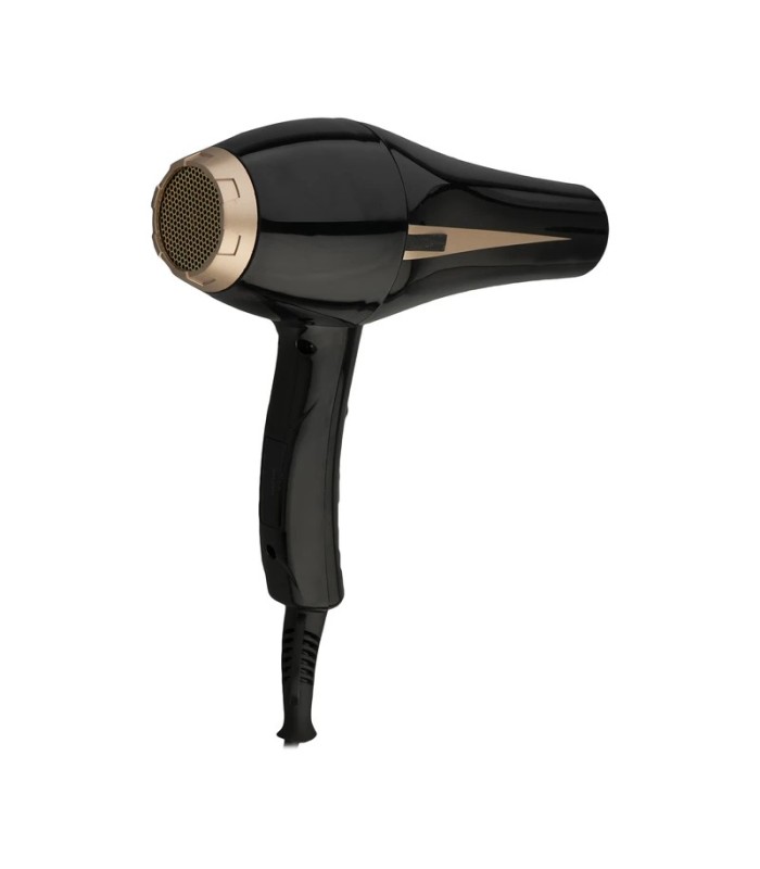 سشوار حرفه ای 2500 وات پرنس نیو مدل: PN2002