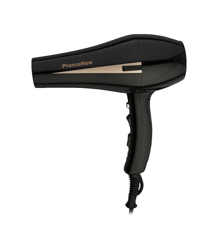 سشوار حرفه ای 2500 وات پرنس نیو مدل: PN2002