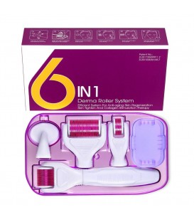 درمارولر 6 در 1 6in 1 Derma Roller System