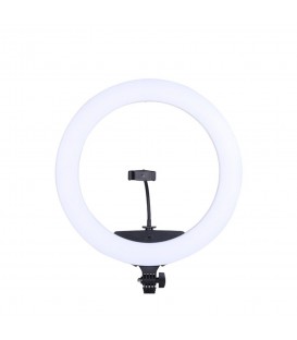 رینگ لایت ریموت دار انسر 65 وات همراه با سه پایه  مدل : Answer RING LIGHT KY-BK448