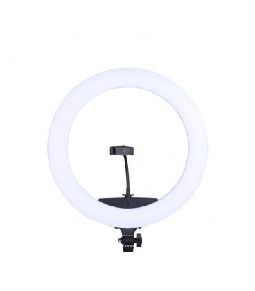 رینگ لایت ریموت دار انسر 65 وات همراه با سه پایه  مدل : Answer RING LIGHT KY-BK448