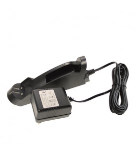 ماشین اصلاح دینگ لینگ شارژ و برق سه باطری تیغه طلایی DINGLING  RF-699