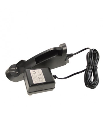 ماشین اصلاح دینگ لینگ شارژ و برق سه باطری تیغه طلایی DINGLING  RF-699