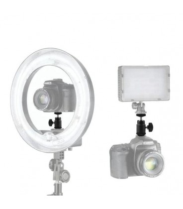 بال هد کفشکدار رینگ لایت