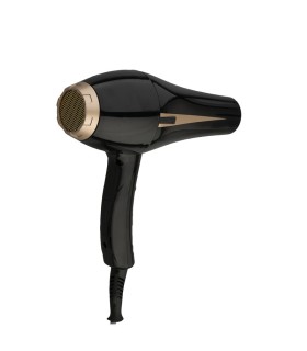 سشوار حرفه ای 2500 وات پرنس نیو مدل : PRANCENEW PN2002