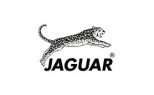 جکوار JAGUAR
